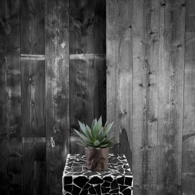 Agave sample t.b.v. vulling shop 2