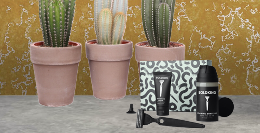 Cactus + scheerset v2