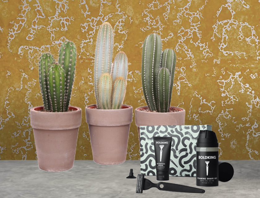 Cactus + scheerset